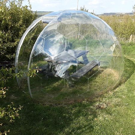 The Rainbow Pod Villa Milltown Malbay Kültér fotó